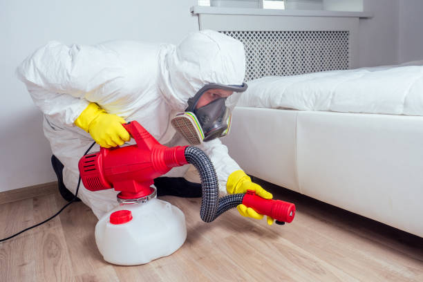 Pest Control Cost in Lihue, HI